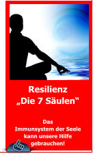 Resilienz „Die 7 Säulen“  Das  Immunsystem der Seele kann unsere Hilfe gebrauchen!