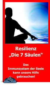 Resilienz „Die 7 Säulen“  Das  Immunsystem der Seele kann unsere Hilfe gebrauchen!